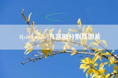 随州九宫图分割线图片
