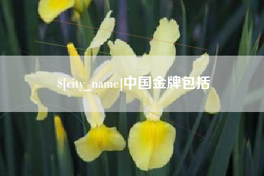 随州中国金牌包括