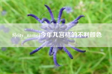 随州今年九宫格的不利颜色