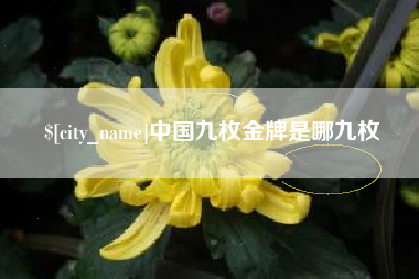随州中国九枚金牌是哪九枚