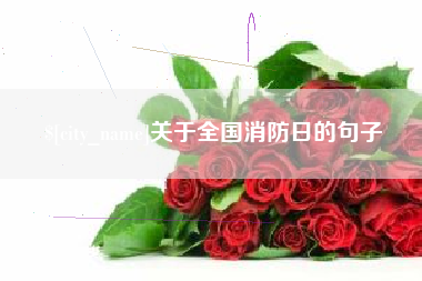 随州关于全国消防日的句子