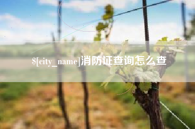 随州消防证查询怎么查