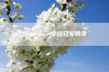 随州中国冠军榜单