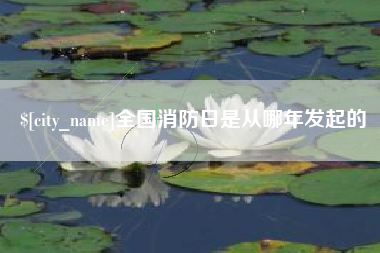 随州全国消防日是从哪年发起的
