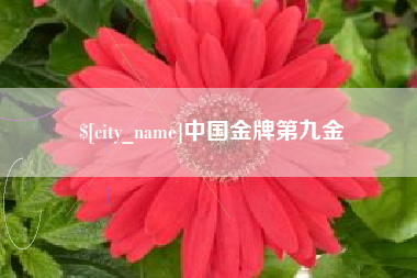随州中国金牌第九金