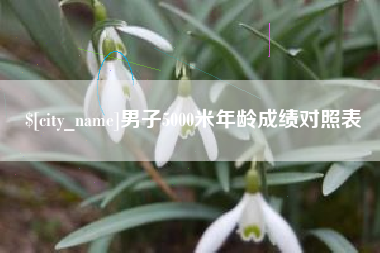 随州男子5000米年龄成绩对照表