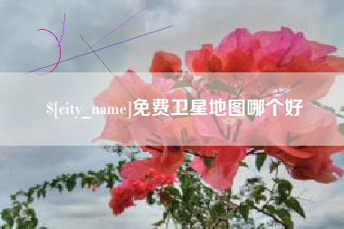 随州免费卫星地图哪个好