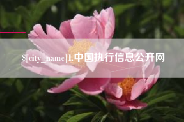 随州1.中国执行信息公开网