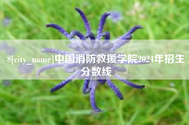 随州中国消防救援学院2024年招生分数线