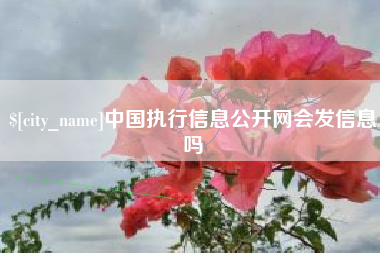 随州中国执行信息公开网会发信息吗