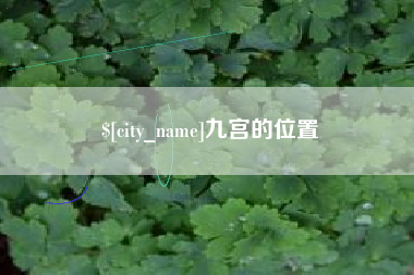 随州九宫的位置