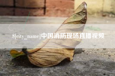 随州中国消防现场直播视频
