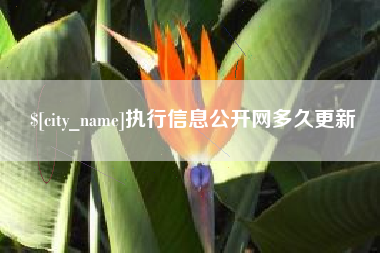 随州执行信息公开网多久更新