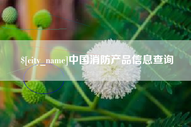 随州中国消防产品信息查询