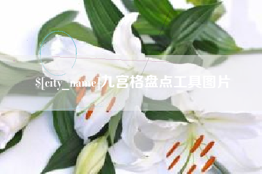 随州九宫格盘点工具图片