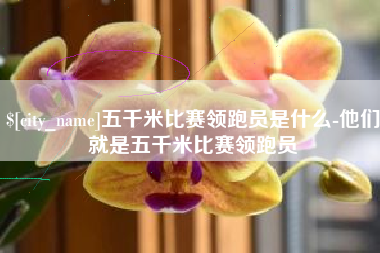 随州五千米比赛领跑员是什么-他们就是五千米比赛领跑员
