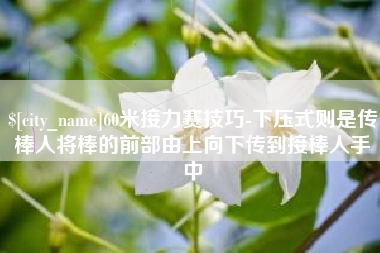 随州60米接力赛技巧-下压式则是传棒人将棒的前部由上向下传到接棒人手中