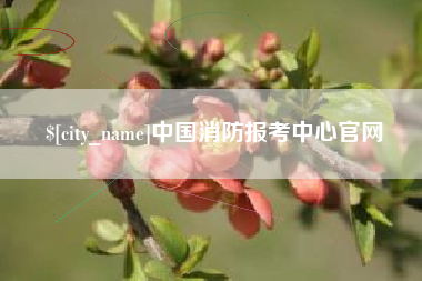 随州中国消防报考中心官网