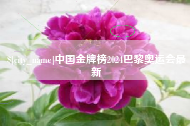随州中国金牌榜2024巴黎奥运会最新