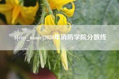 随州2020年消防学院分数线