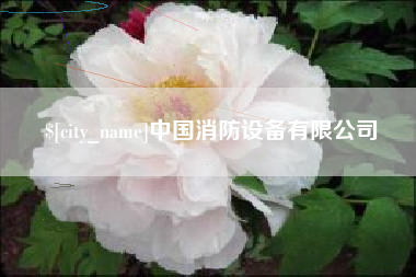 随州中国消防设备有限公司