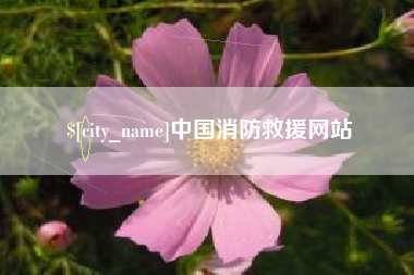 随州中国消防救援网站