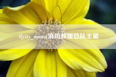 随州消防救援总队王星
