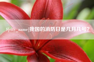 随州我国的消防日是几月几号？