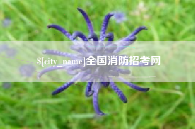 随州全国消防招考网