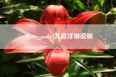 随州九宫详细说明