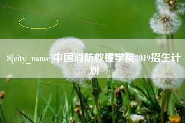 随州中国消防救援学院2019招生计划