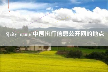 随州中国执行信息公开网的地点
