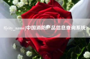 随州中国消防产品信息查询系统1