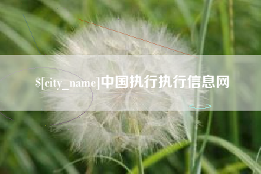 随州中国执行执行信息网