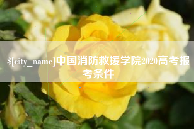 随州中国消防救援学院2020高考报考条件