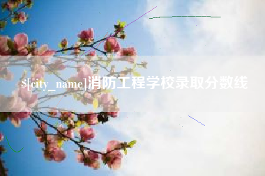 随州消防工程学校录取分数线
