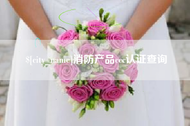 随州消防产品ccc认证查询