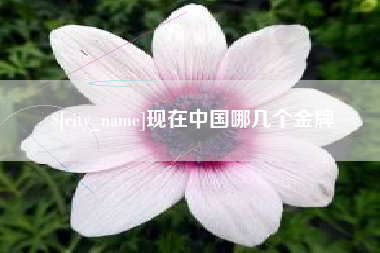 随州现在中国哪几个金牌