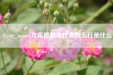 随州九宫格数字代表的五行是什么