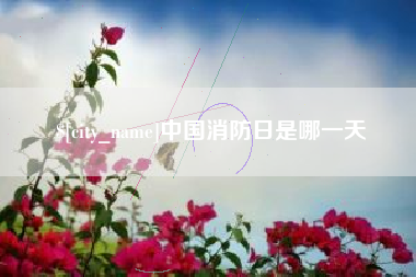 随州中国消防日是哪一天