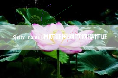 随州消防证国网查询操作证