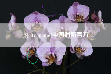 随州中国消防官方