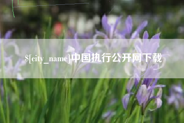 随州中国执行公开网下载