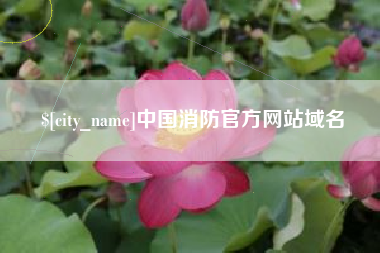 随州中国消防官方网站域名