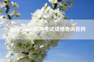 随州消防考试成绩查询官网