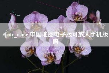 随州中国地图电子版可放大手机版吗
