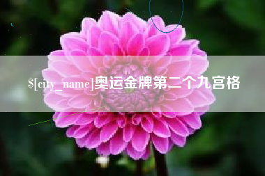 随州奥运金牌第二个九宫格