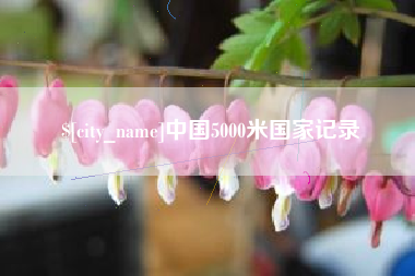 随州中国5000米国家记录