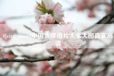 随州中国金牌图片大全大图真实高清