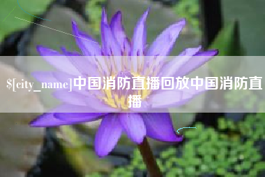 随州中国消防直播回放中国消防直播